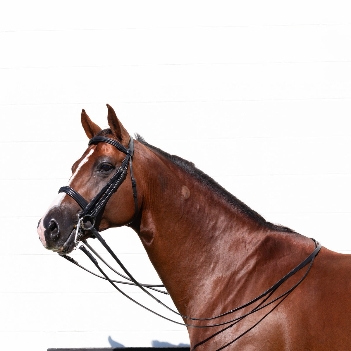 Equinavia Saga Double Bridle w/ Reins image #2