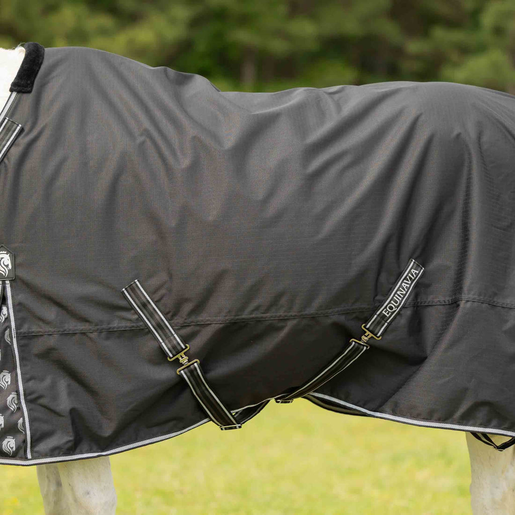 Equinavia Norse Fleece Lined Turnout Blanket image #5