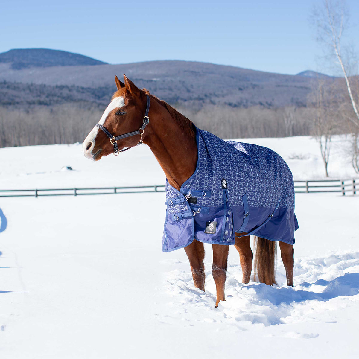 Equinavia Arktis Extended Neck Turnout Sheet image #2
