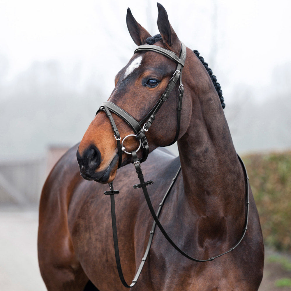Horze Venice Soft Padded Bridle w/ Reins image #3