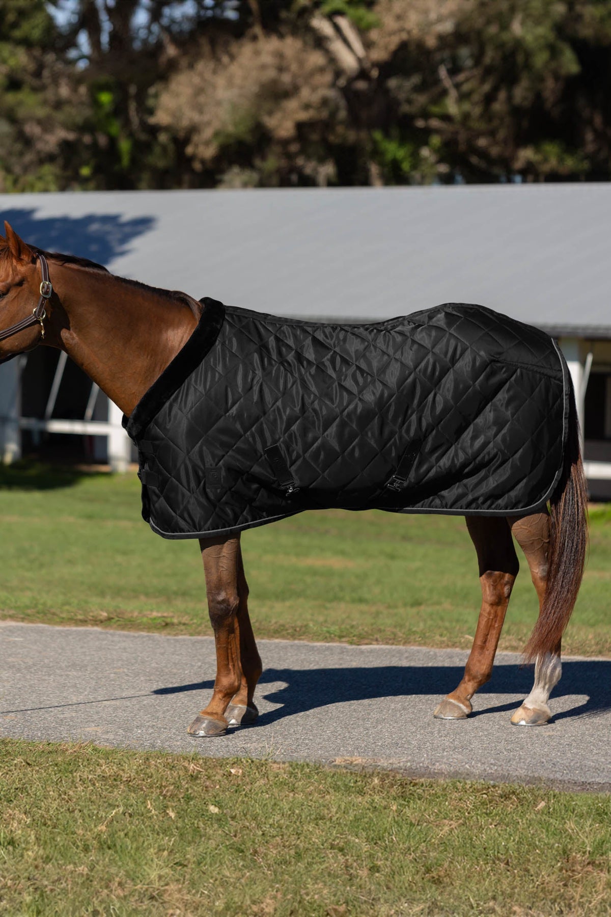Equinavia Luksus Premium Stable Blanket image #2