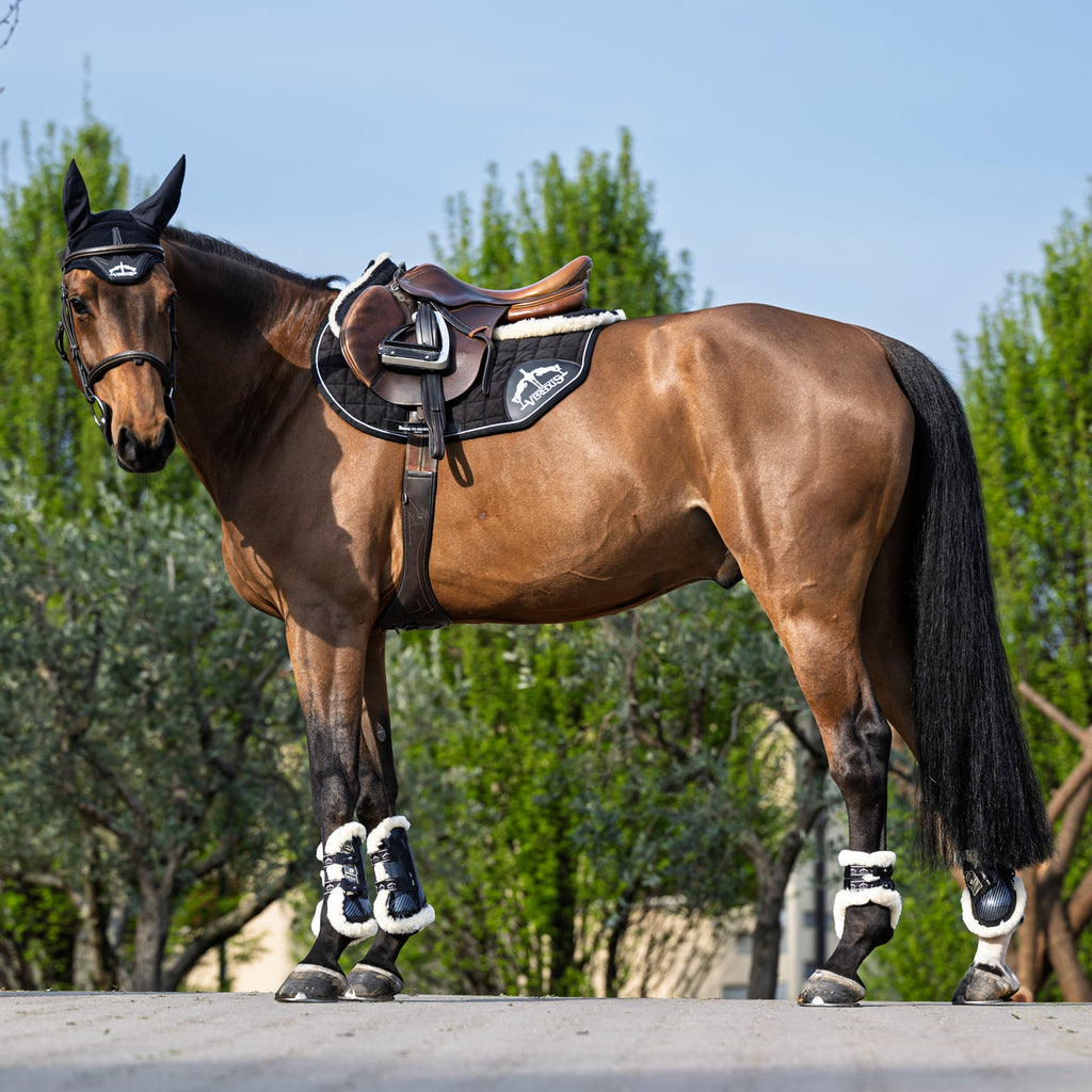 Veredus Carbon Gel Absolute Save the Sheep Rear Fetlock Boots image #8