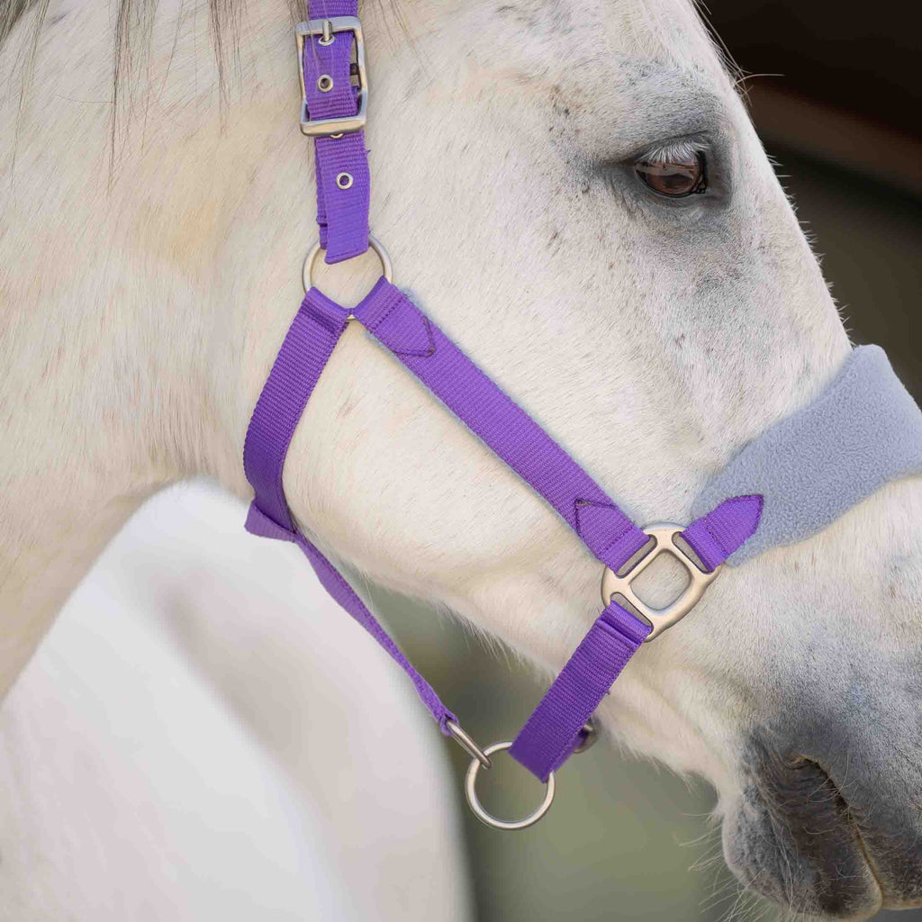 Equinavia Saga Fleece Padded Breakaway Halter image #2