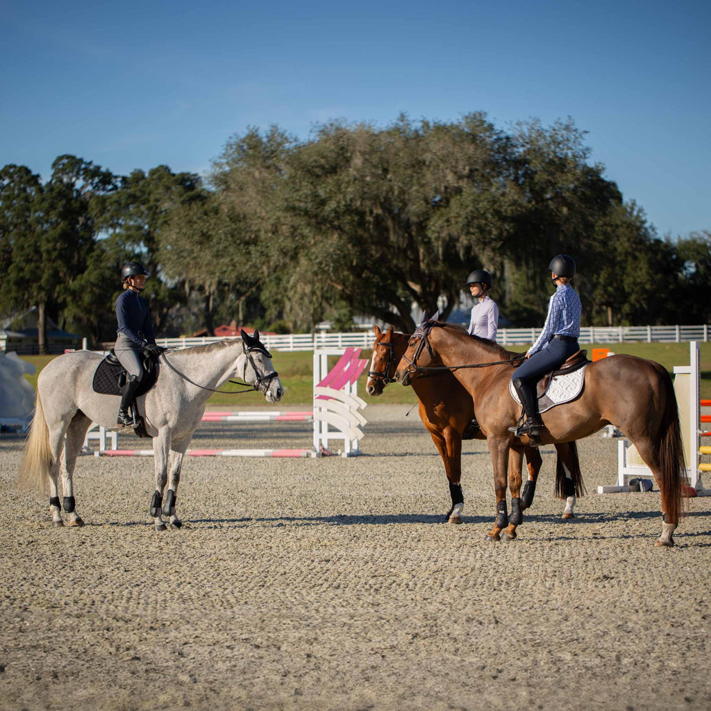 Equinavia Kristina Womens Knee Patch Breeches image #3