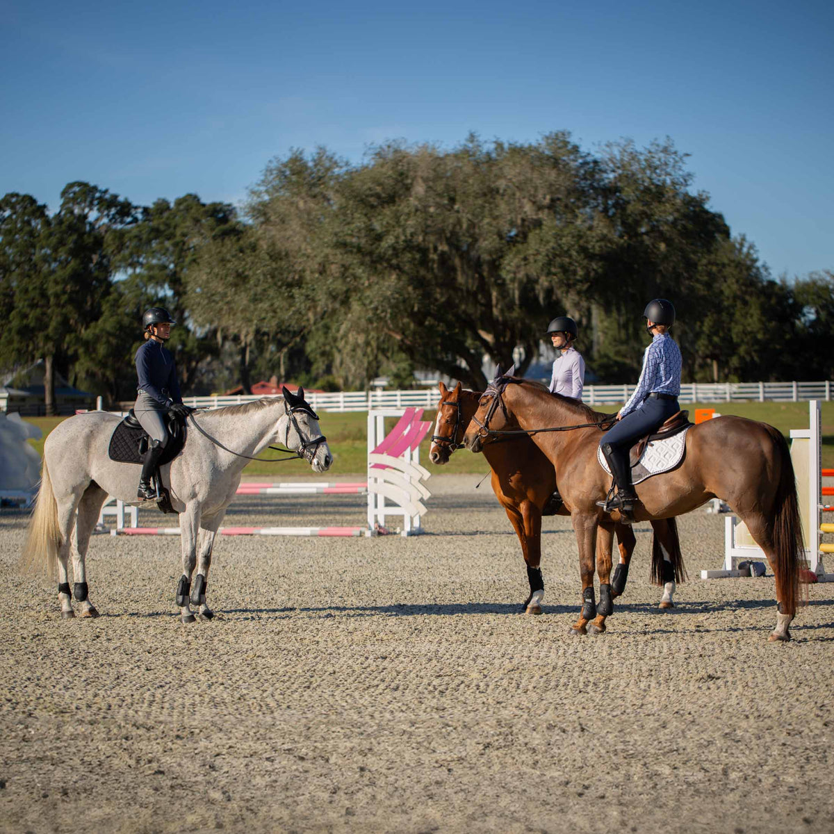 Equinavia Kristina Womens Knee Patch Breeches image #3