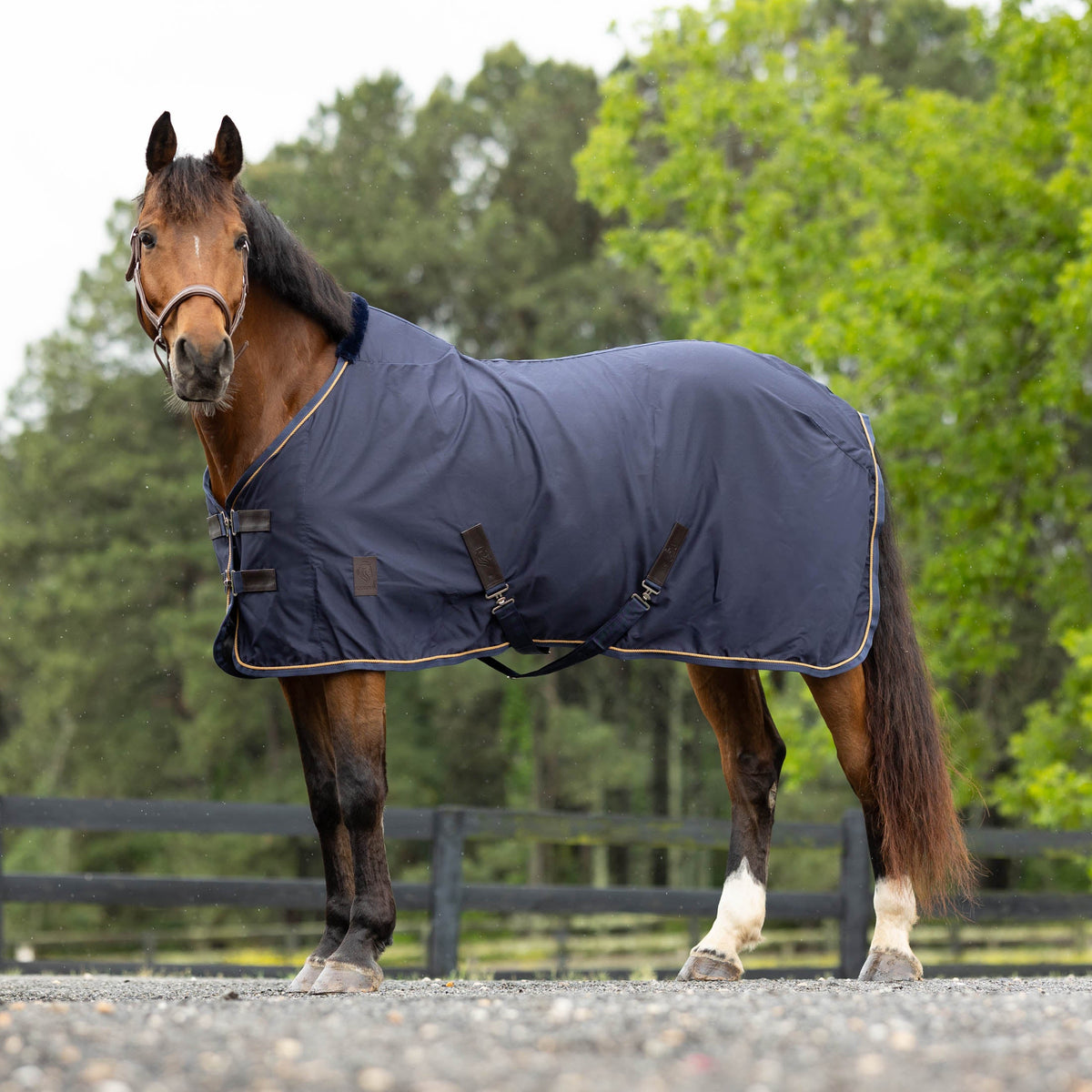Equinavia Vind Stable Sheet image #4