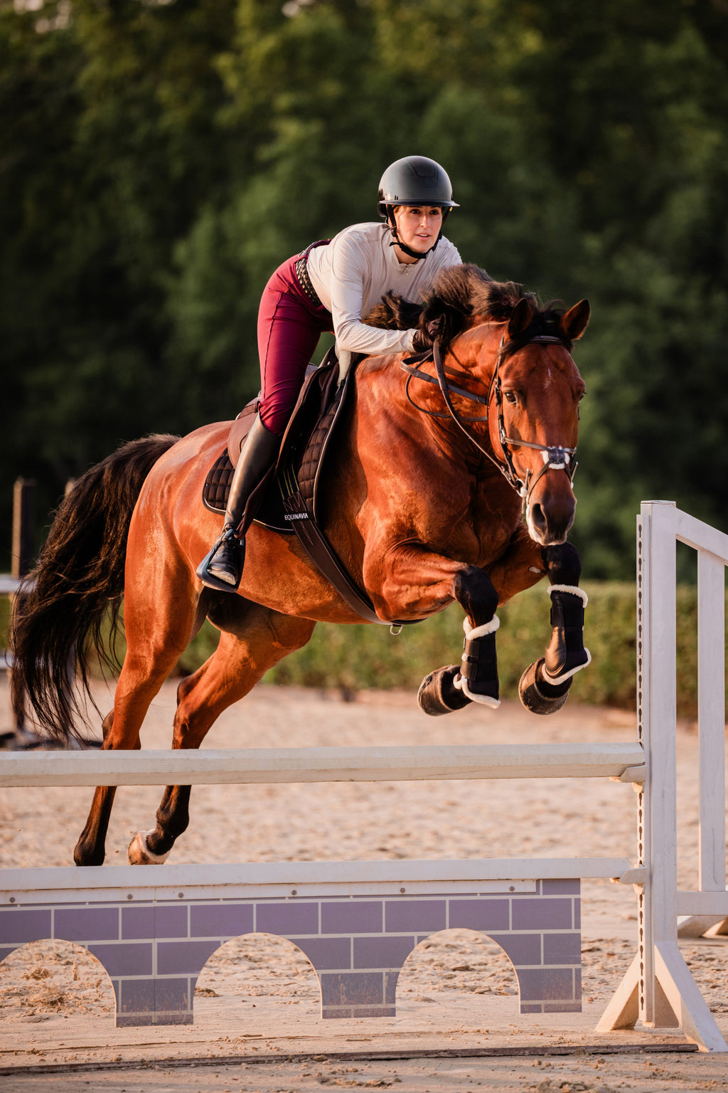 Equinavia Crown Glossy Mips® Riding Helmet image #3