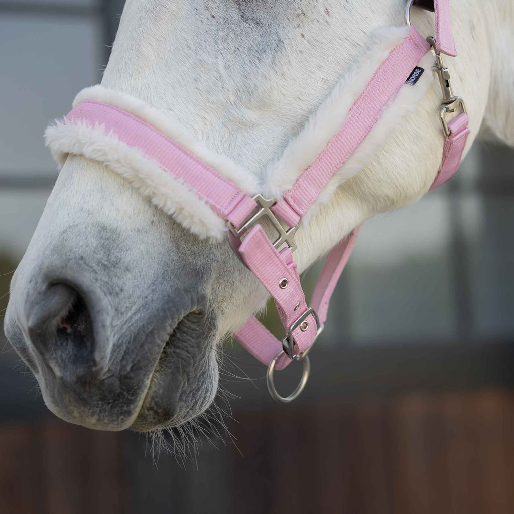 Equinavia Valkyrie Ultra Fleece Breakaway Halter image #3