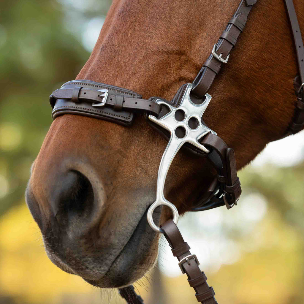 Equinavia Saga Hackamore Bridle with Rubber Reins image #3