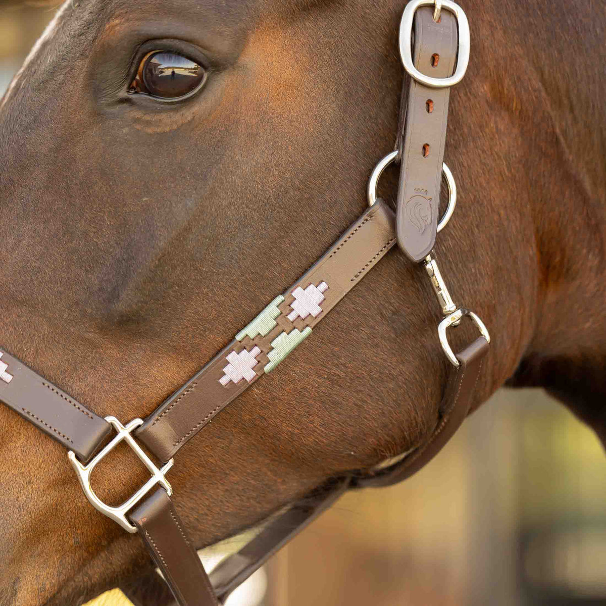 Equinavia Siri Polo Leather Halter image #2
