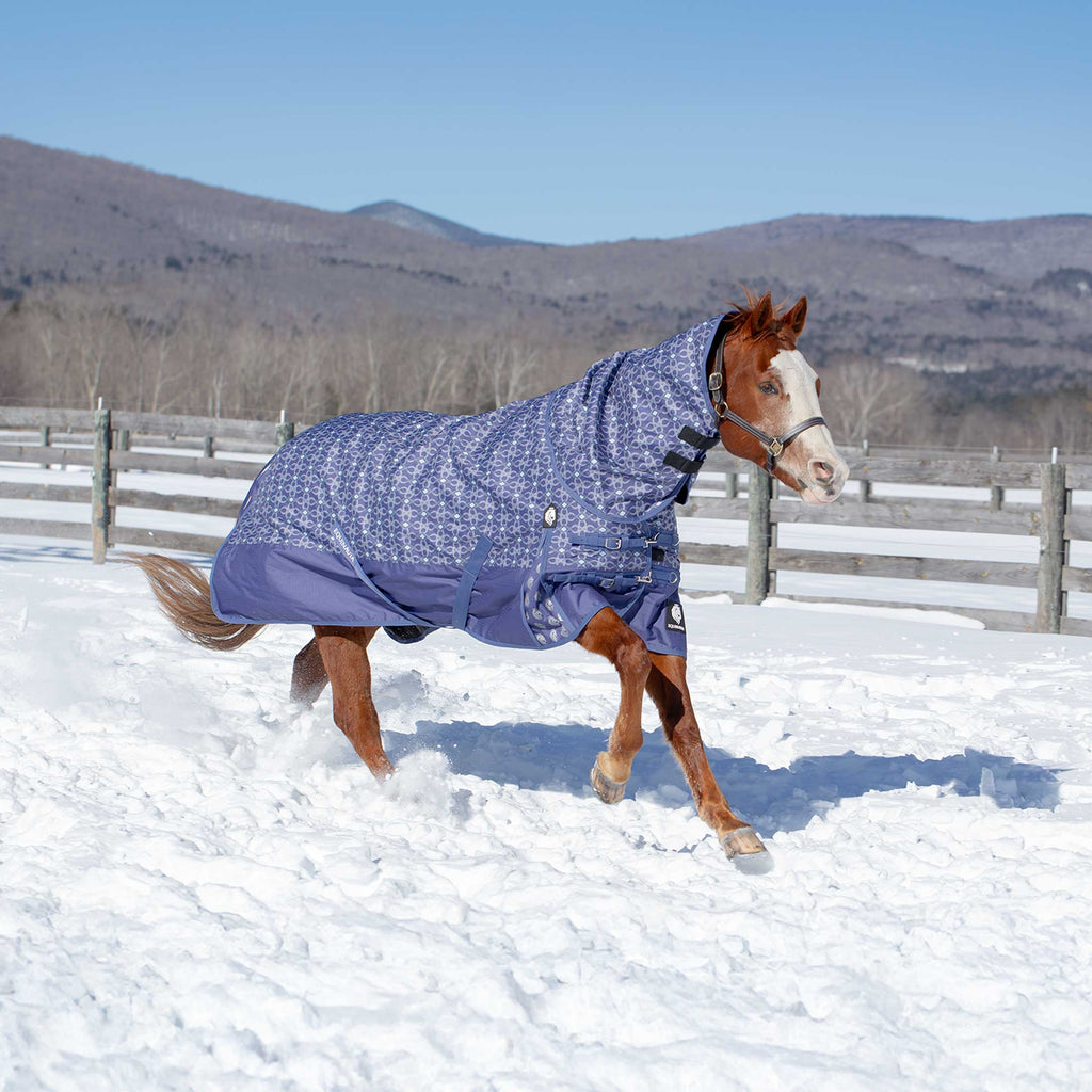 Equinavia Arktis Turnout Neck Cover No Fill image #3