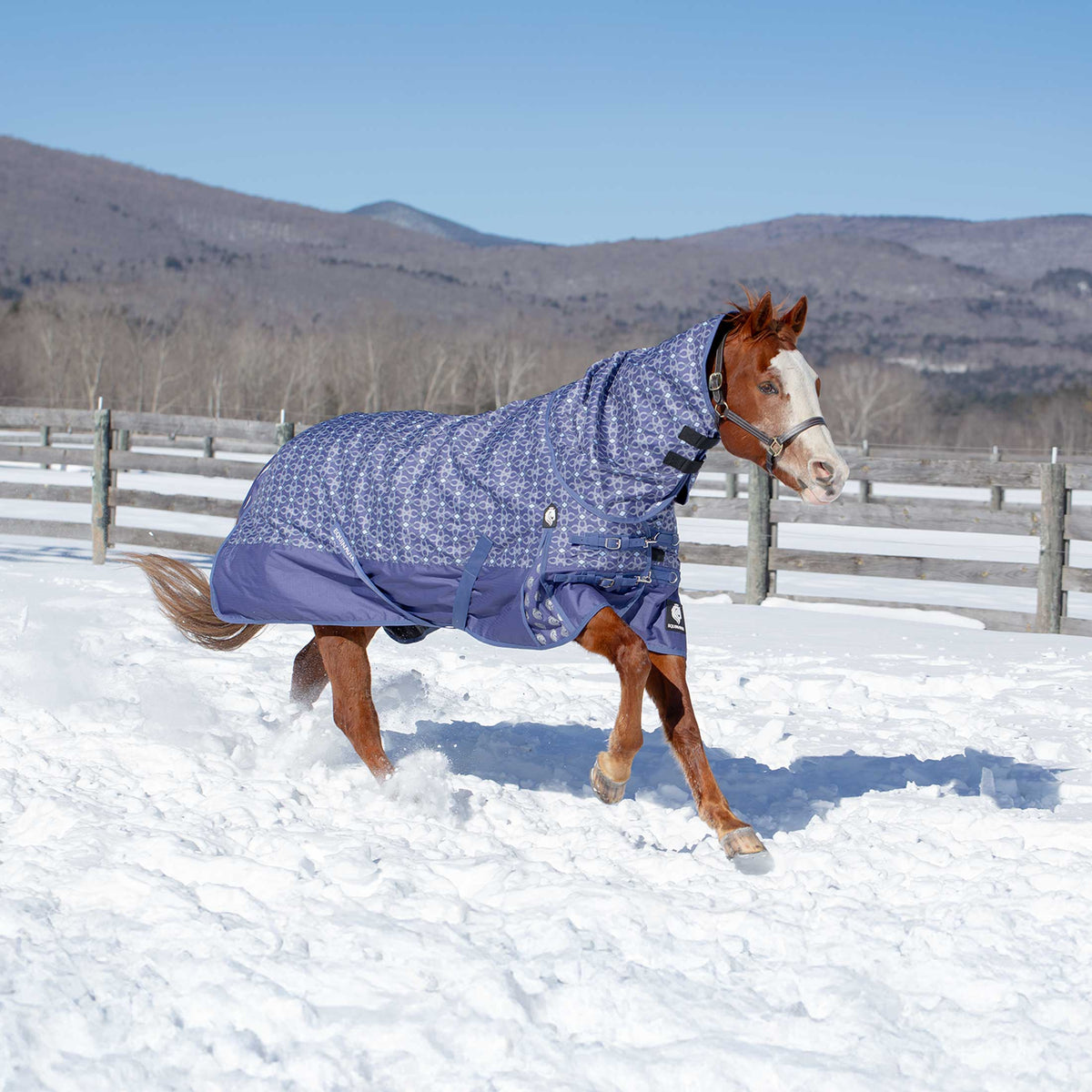 Equinavia Arktis Turnout Neck Cover No Fill image #3