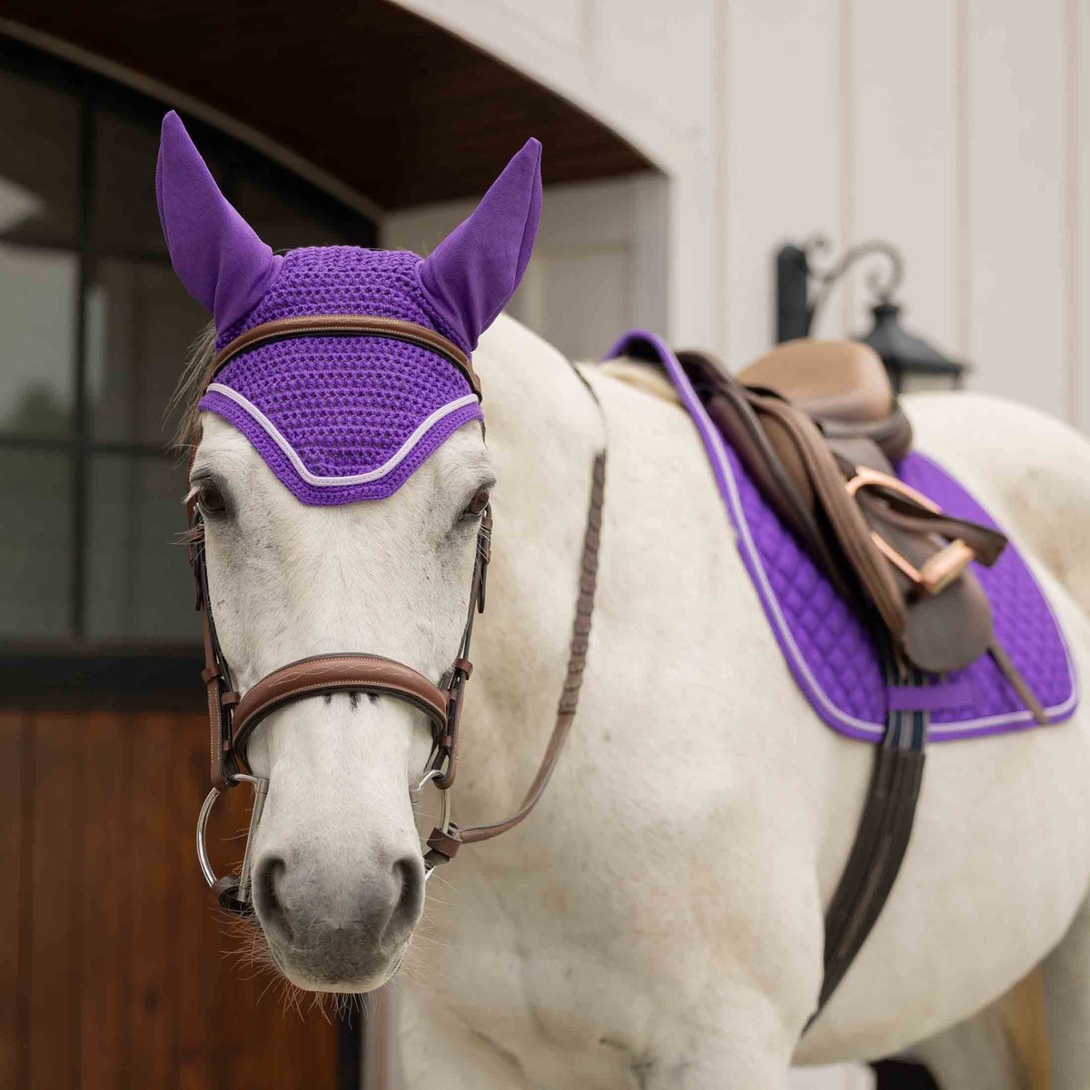 Equinavia Voss All Purpose Saddle Pad and Bonnet Set image #7