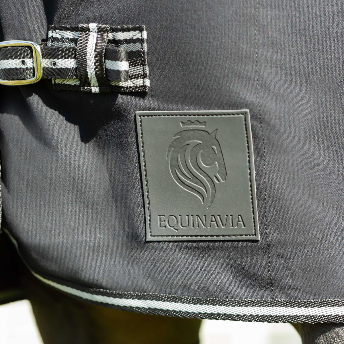 Equinavia Fryd Cotton Stable Sheet image #2