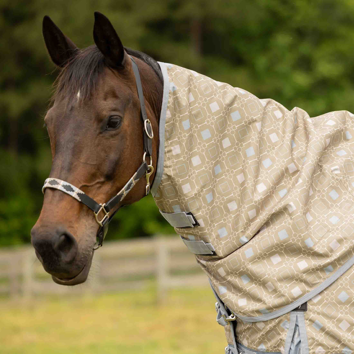 Equinavia Norse Turnout Neck Cover No Fill image #1