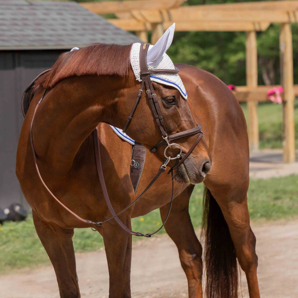 Equinavia Voss Dressage Saddle Pad and Bonnet Set image #7