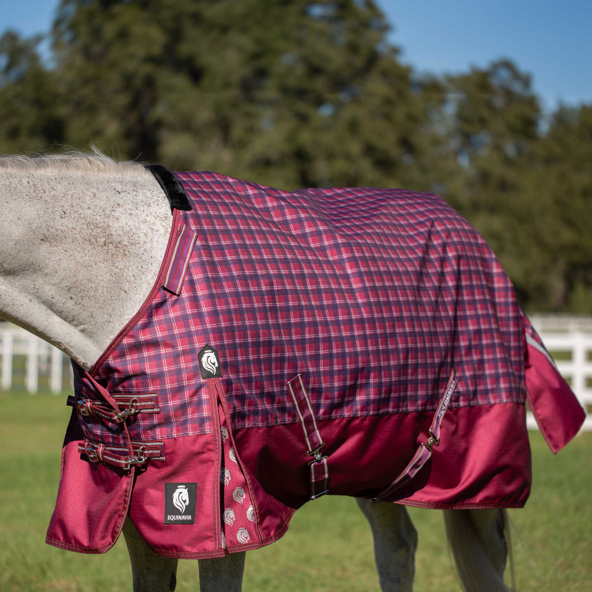 Equinavia Arktis Regular Neck Turnout Sheet image #7