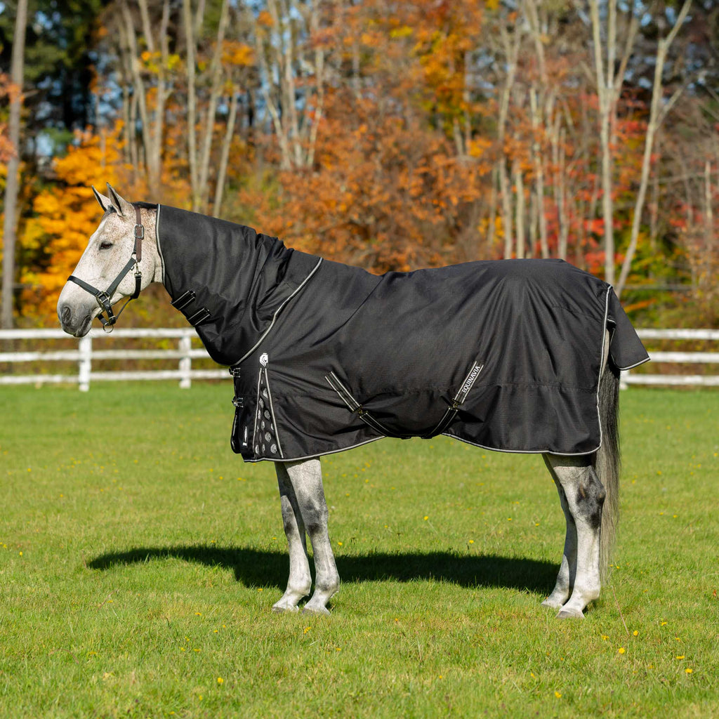 Equinavia Norse Mid Weight Turnout Blanket 200g image #2