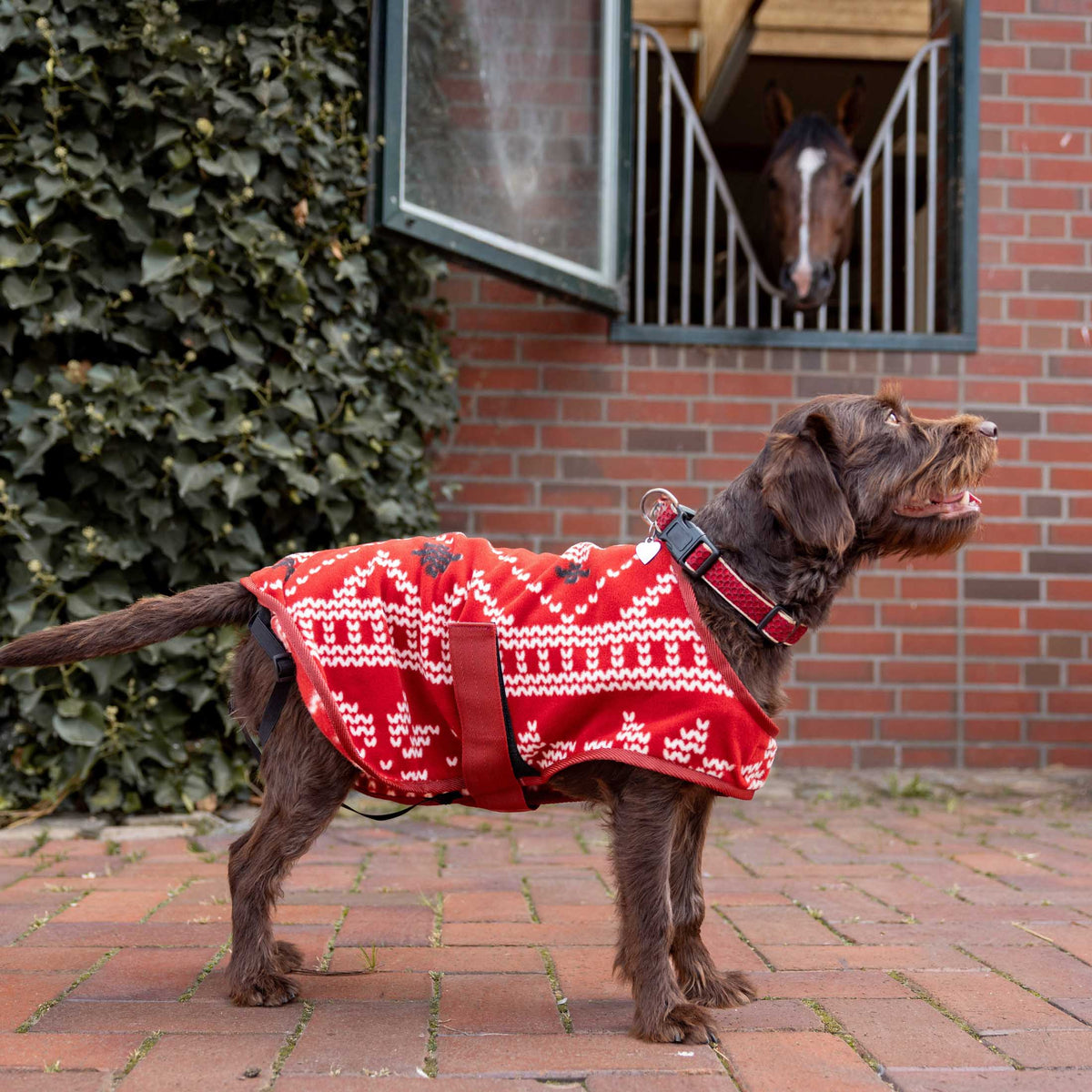 Horze Santa Dog Fleece Coat image #2