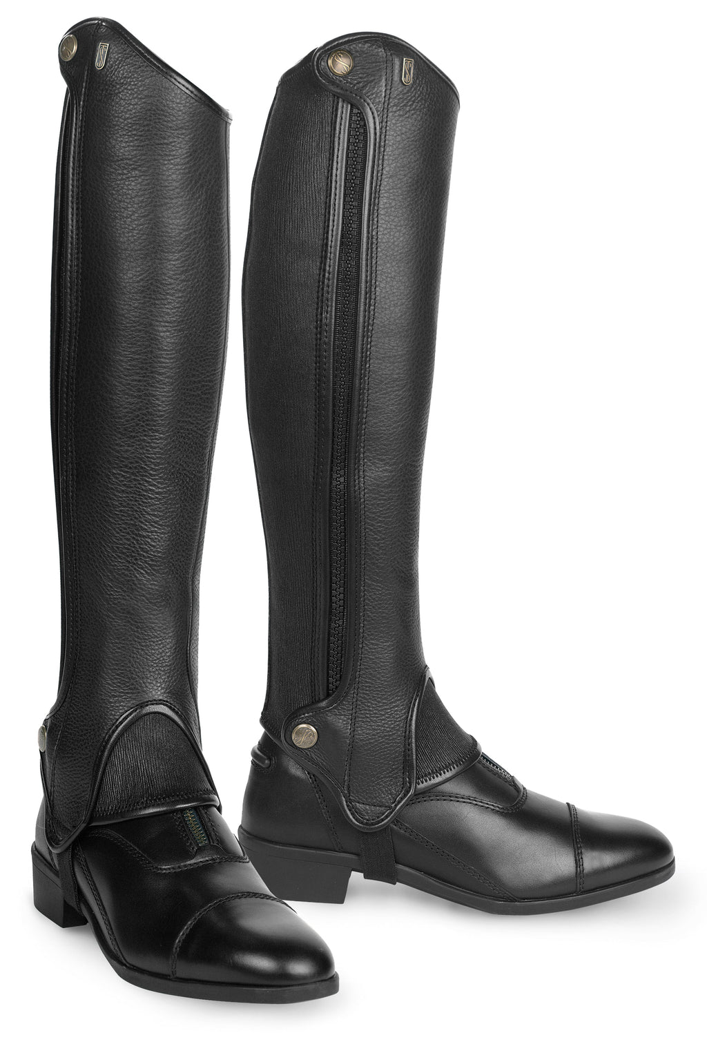 Tredstep Ireland Deluxe Half Chaps image #1