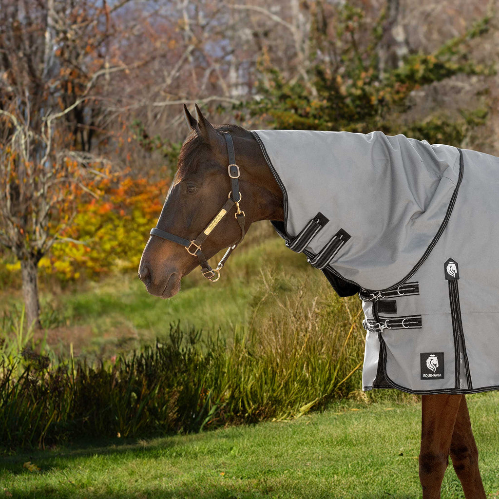 Equinavia Arktis Turnout Neck Cover No Fill image #1
