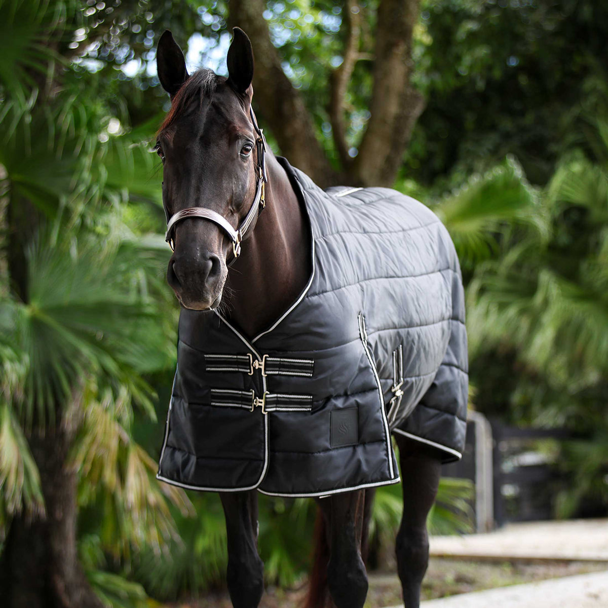 Equinavia Norse Gusseted Stable Blanket 200g image #5