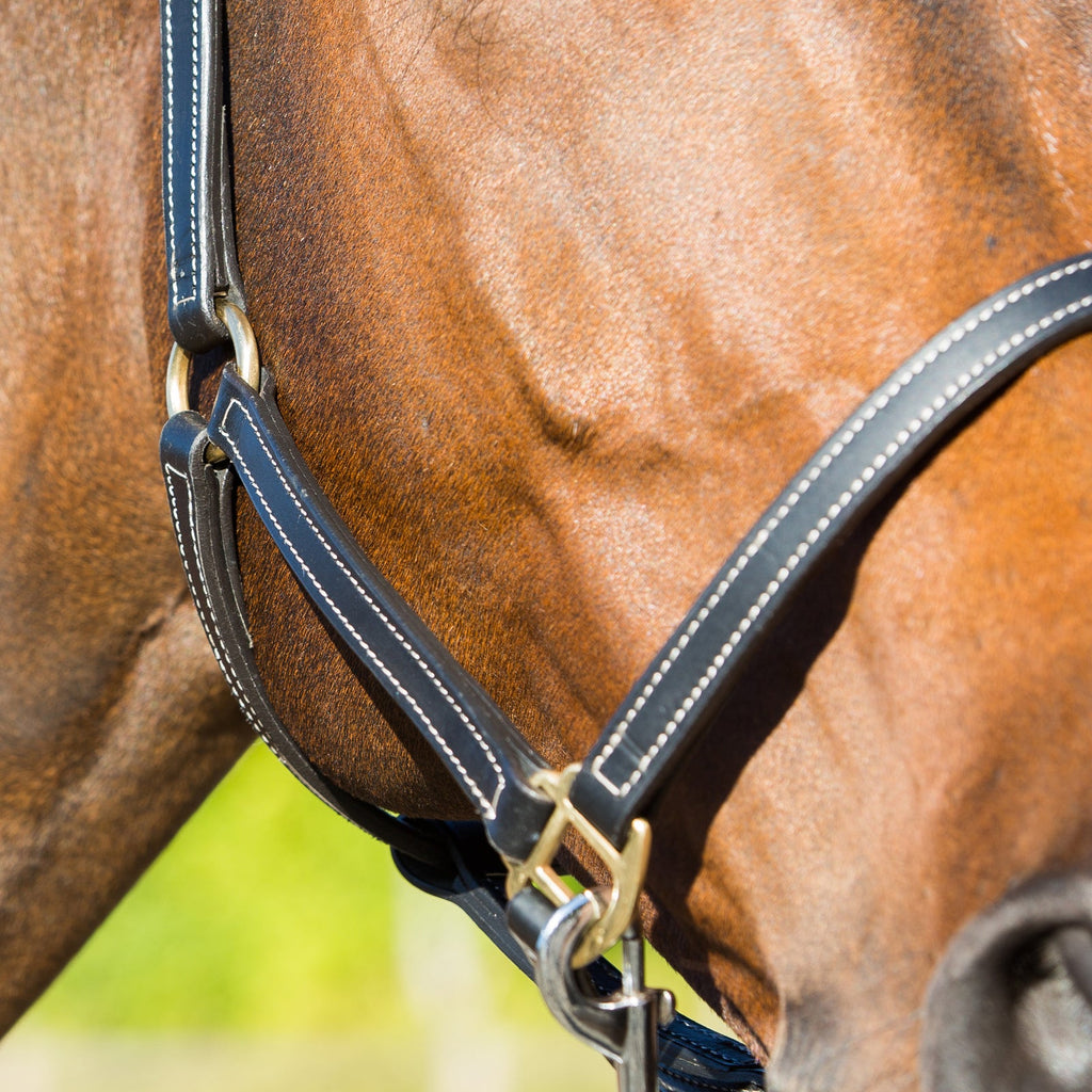 Horze Fremont Leather Horse Halter image #4