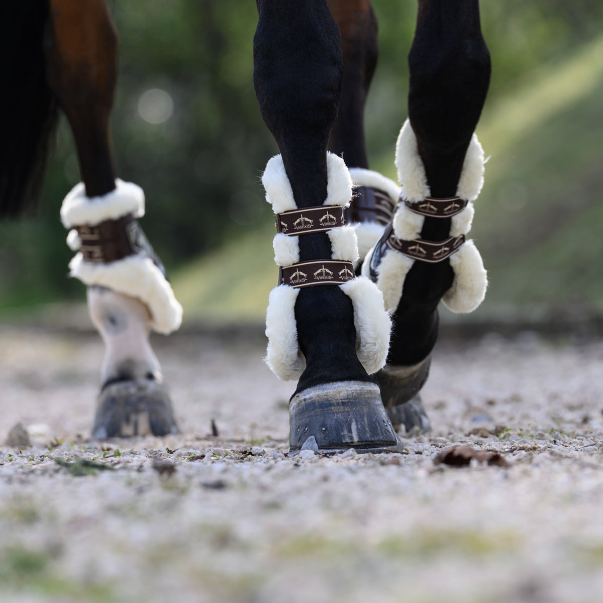 Veredus Carbon Gel Absolute Save the Sheep Rear Fetlock Boots image #4