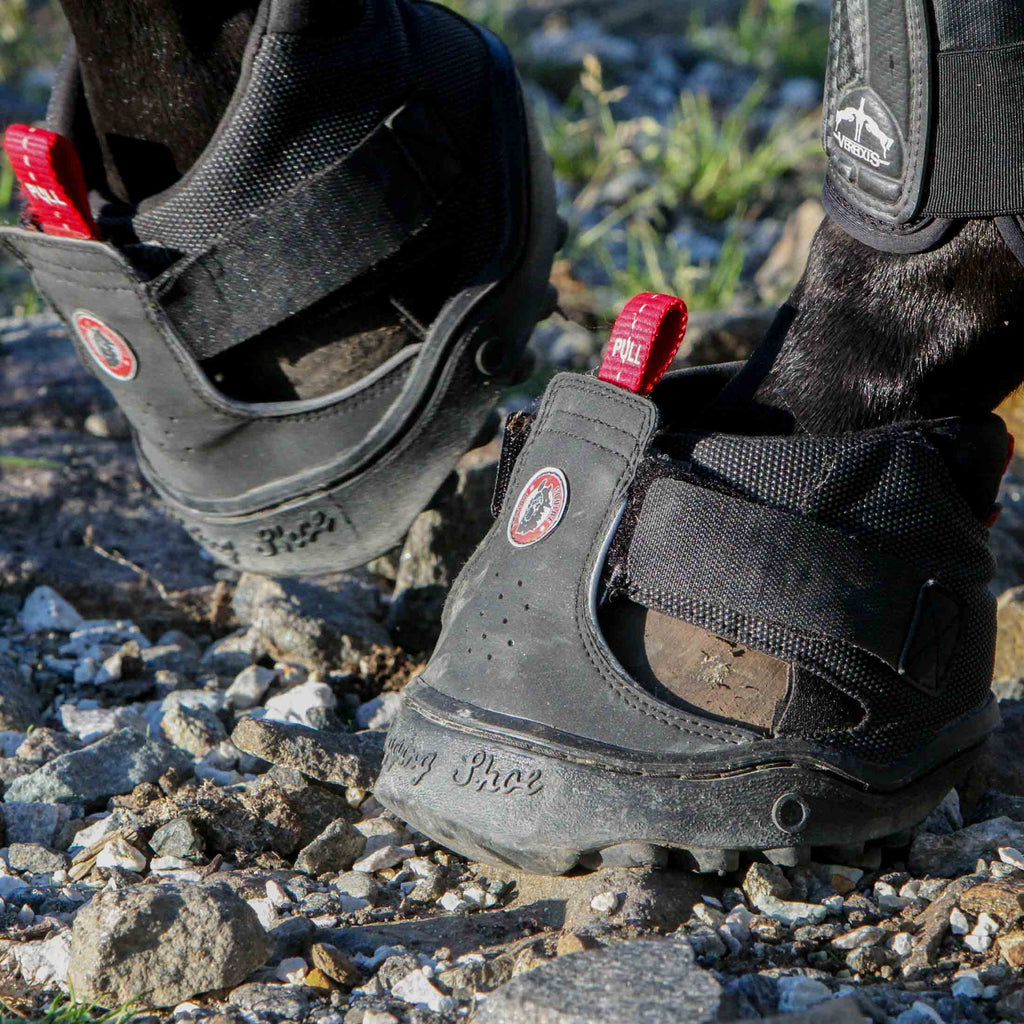 Equine Fusion Trekking Jogging Shoe Hoof Boot Single image #3