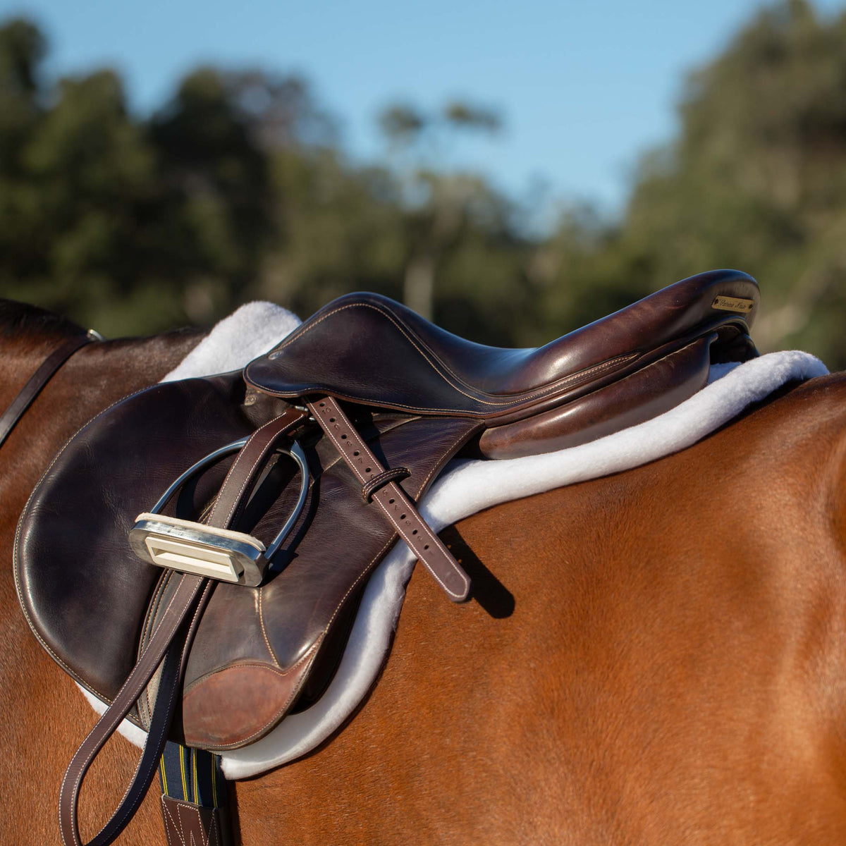 Equinavia Valkyrie Covered Stirrup Leathers image #2
