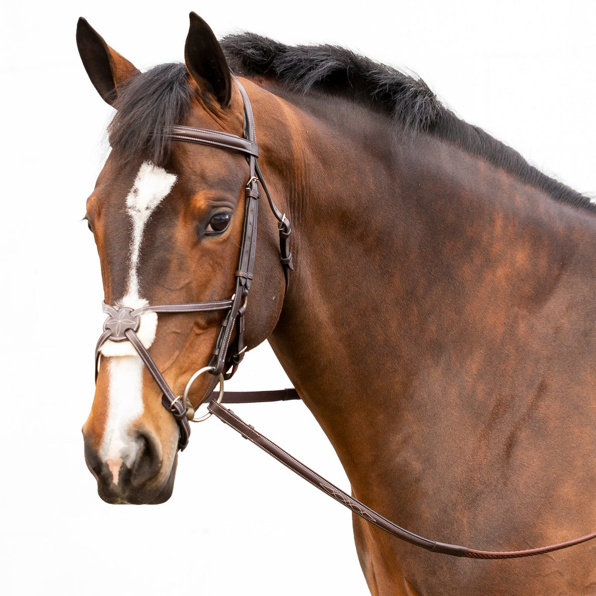 Equinavia Valkyrie Fancy Stitched Figure 8 Bridle & Reins image #3