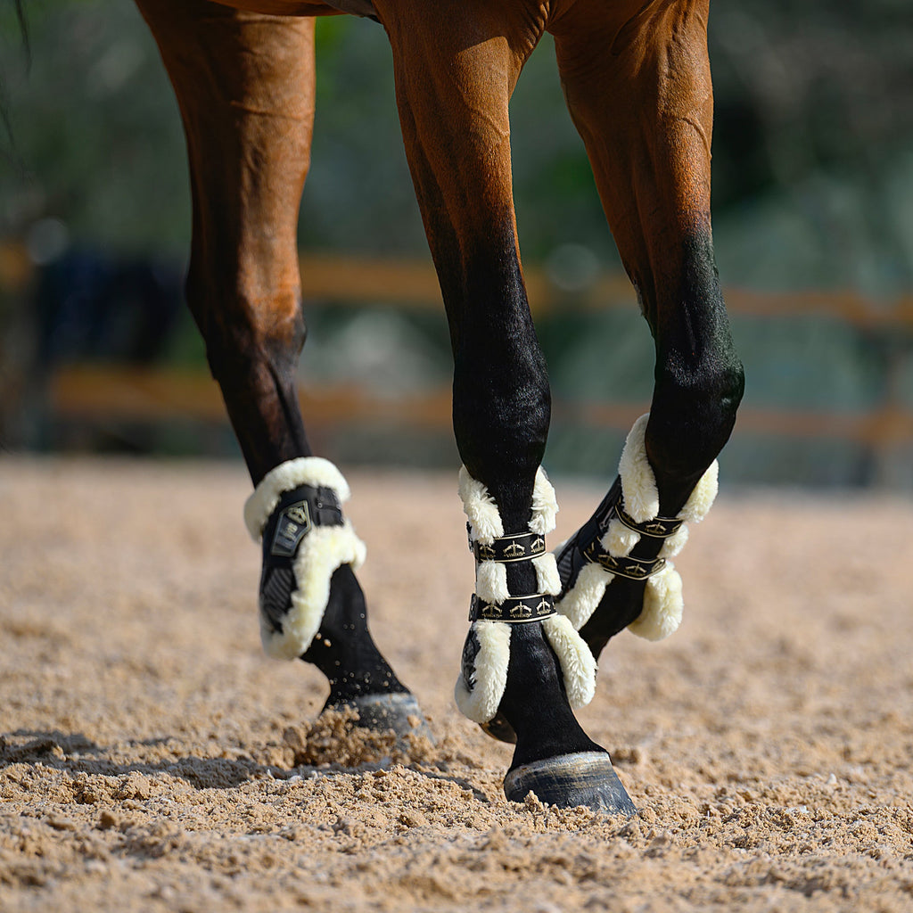 Veredus Carbon Gel Absolute Save the Sheep Rear Fetlock Boots image #5