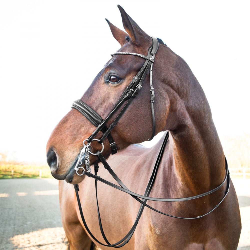 Horze Vienna Weymouth Dressage Bridle image #3