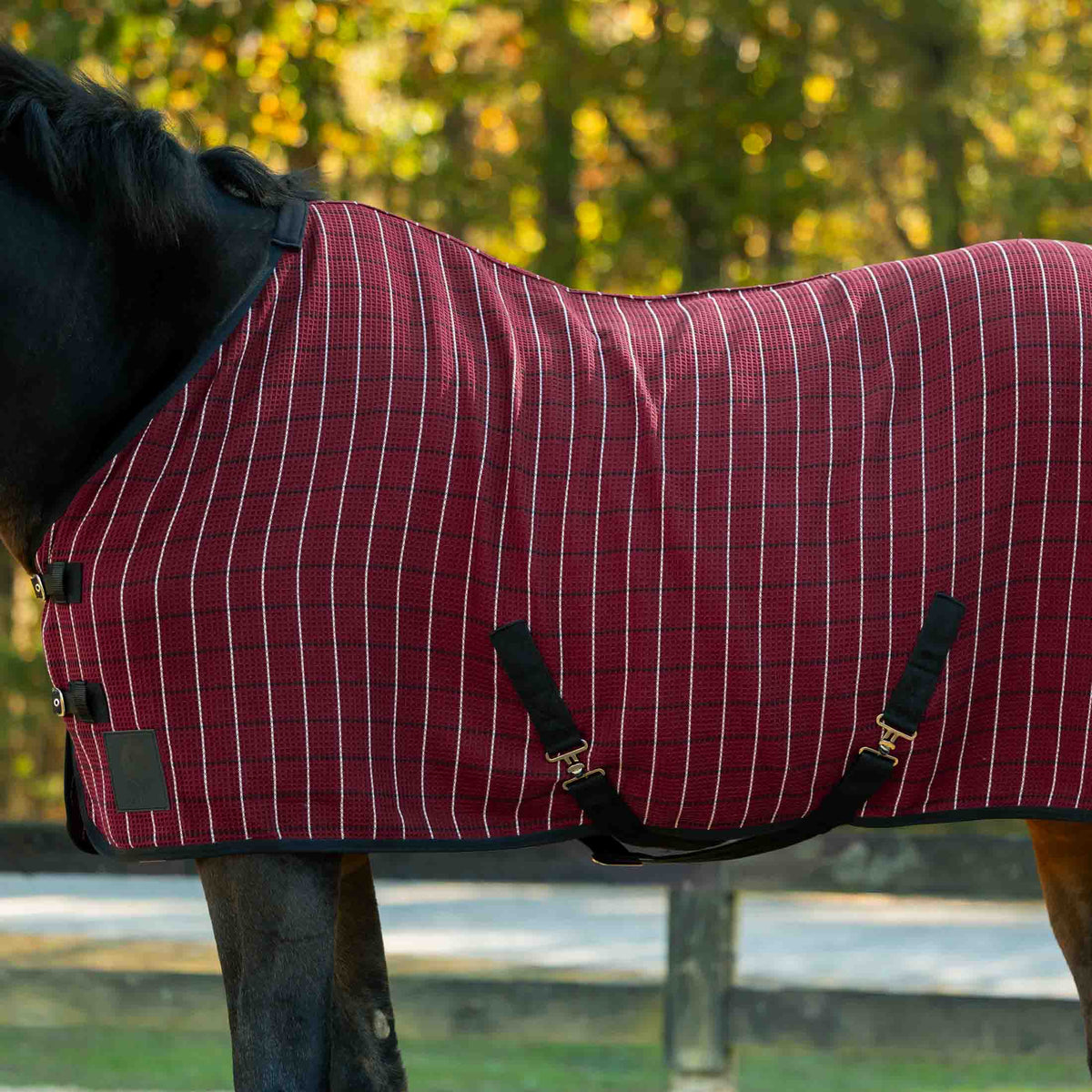 Equinavia Luftig Waffle Cooler image #2
