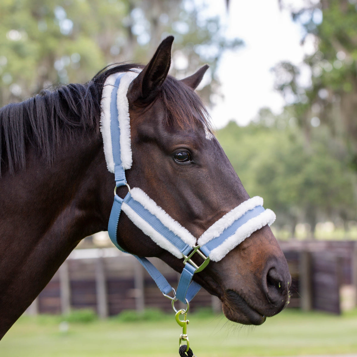 Equinavia Valkyrie Ultra Fleece Breakaway Halter image #2