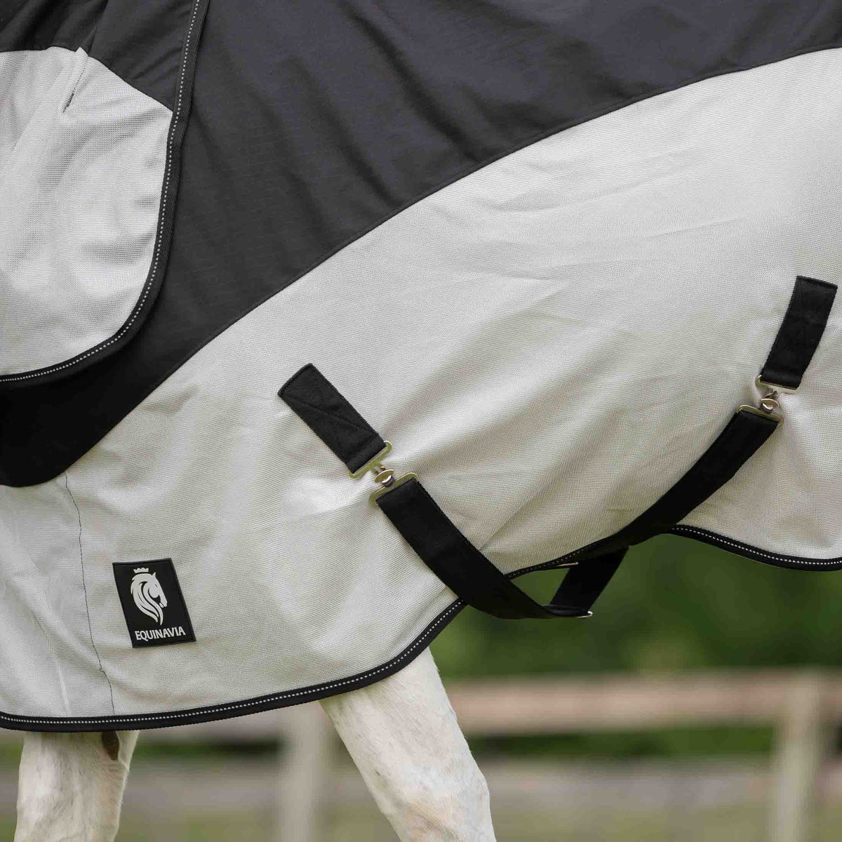 Equinavia Norse Detachable Neck Combi Summer Sheet image #3