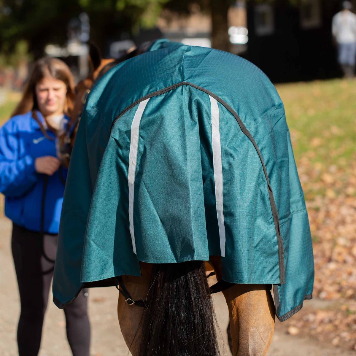 Equinavia Arktis Extended Neck Mid Weight Turnout Blanket 200g image #5