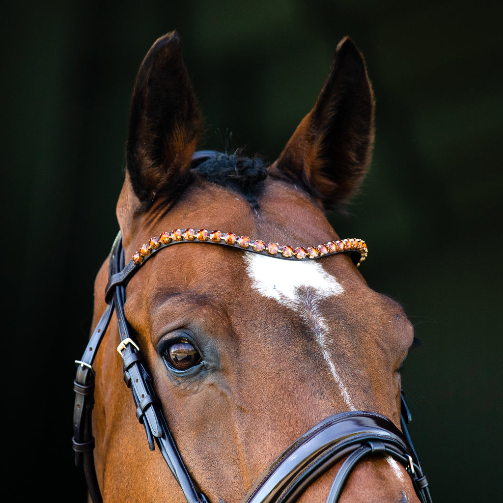 Horze Clermont Ergonomic Crystal Bridle image #7