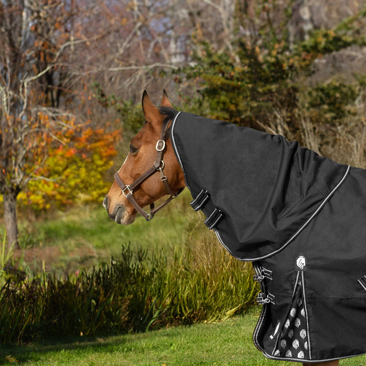 Equinavia Norse Turnout Neck Cover 200g image #1