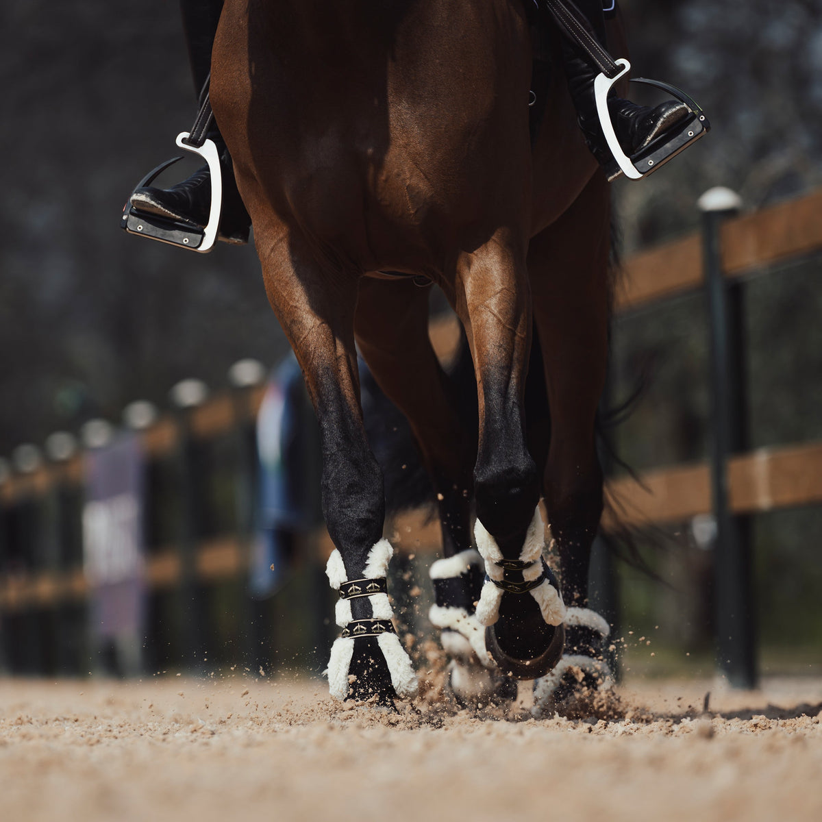 Veredus Carbon Gel Absolute Save the Sheep Rear Fetlock Boots image #6