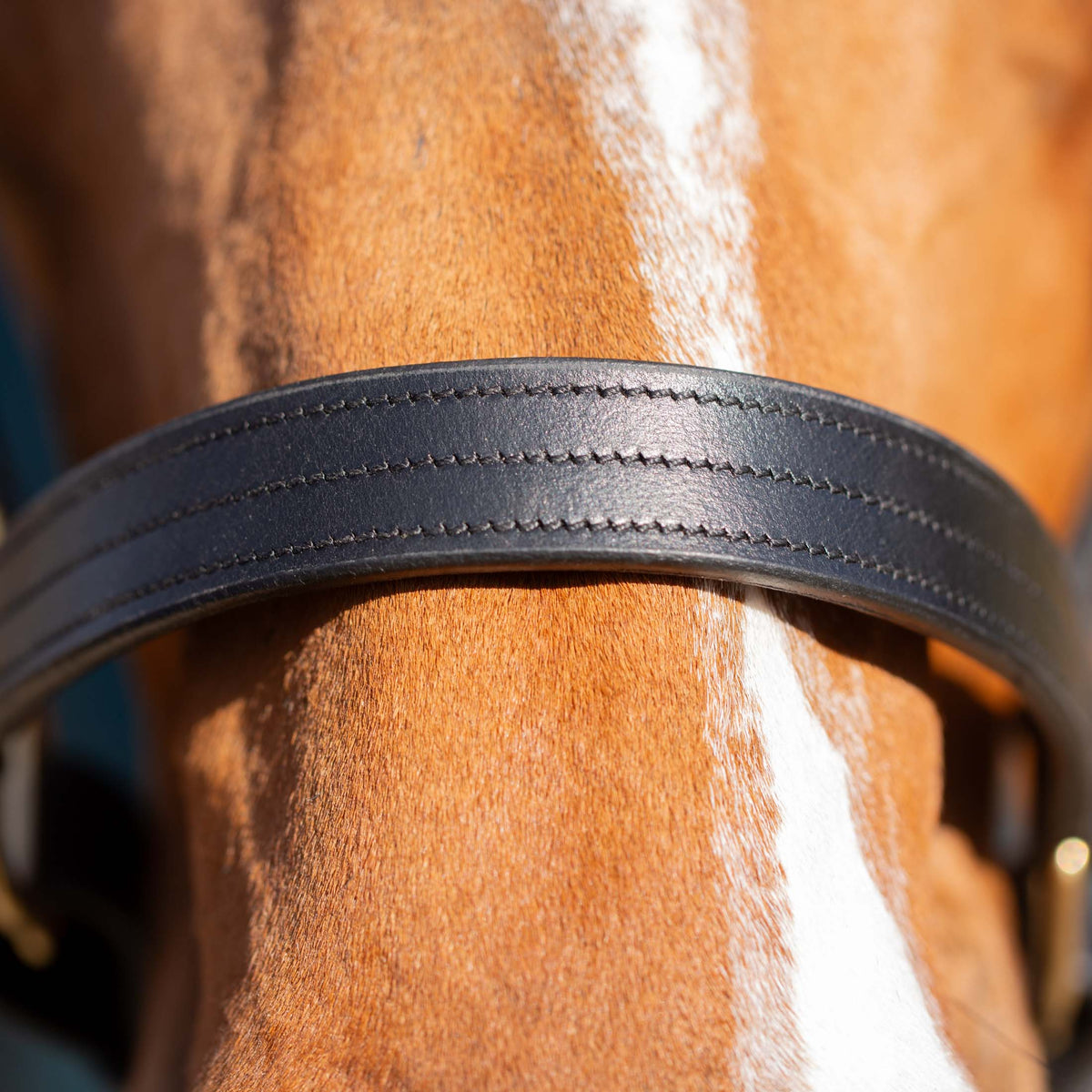 Equinavia Valkyrie Classic Leather Halter image #4