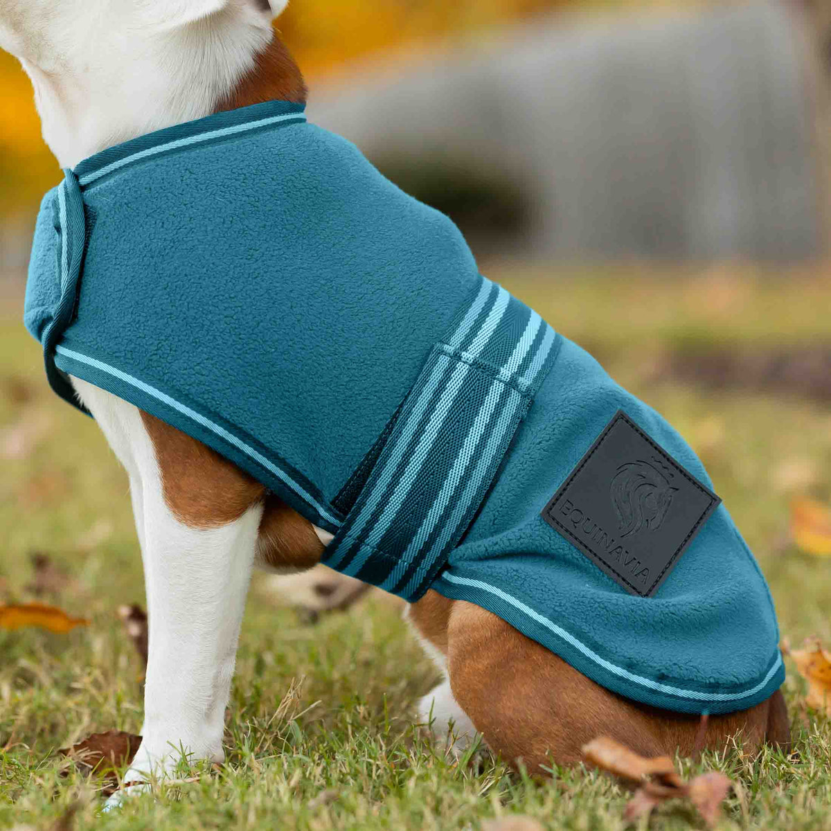 Equinavia Norse Fleece Dog Coat image #4
