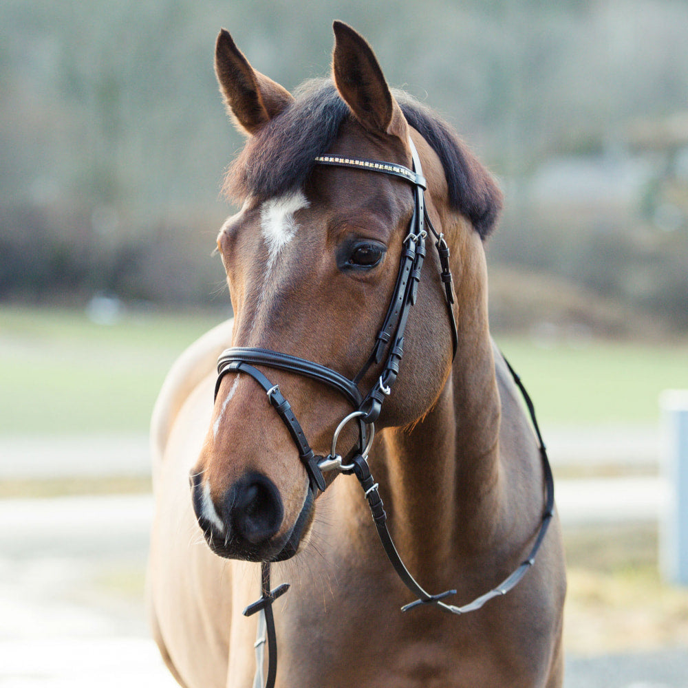 Horze Weston Flash Bridle w/ Reins image #3