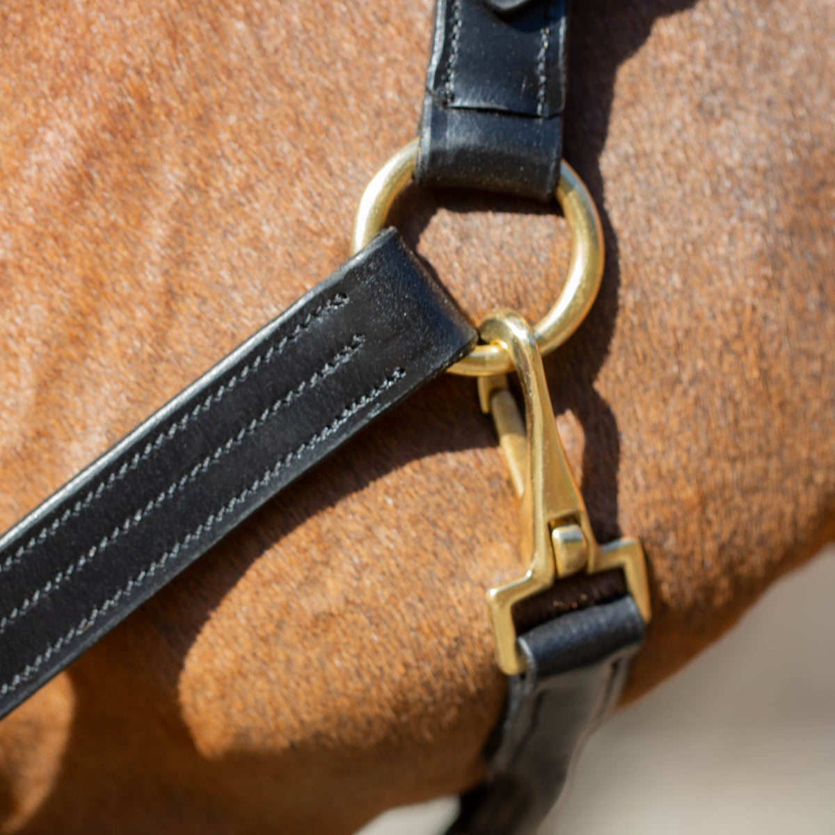 Equinavia Valkyrie Classic Leather Halter image #8
