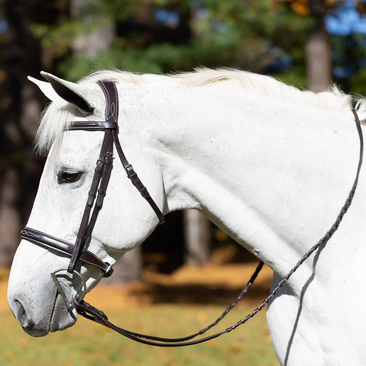 Equinavia Valkyrie Wide Noseband Hunter Bridle with Reins image #2
