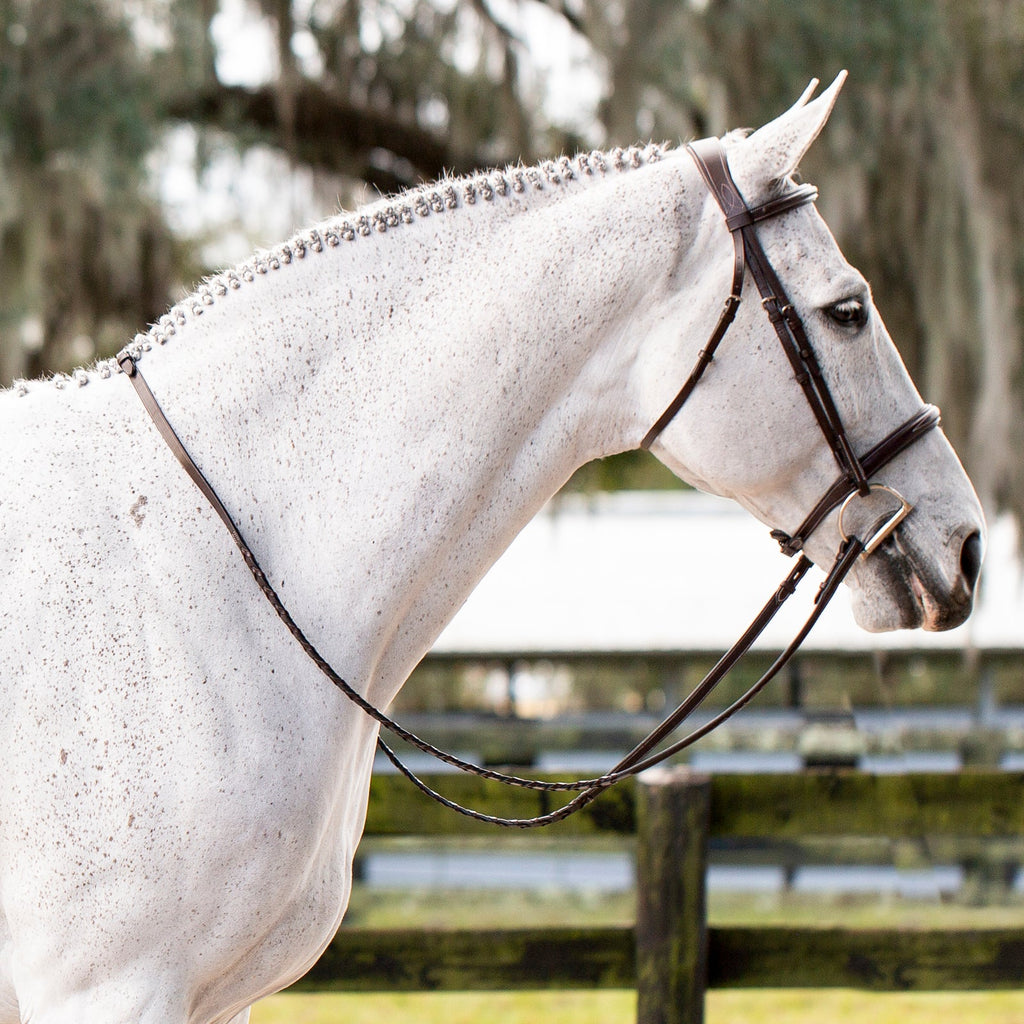 Equinavia Valkyrie Fancy Stitched Hunter Bridle & Reins image #3