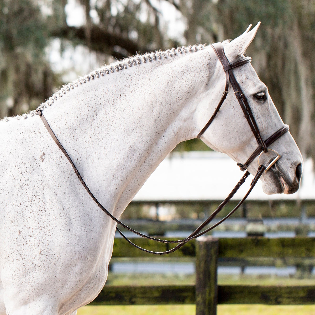 Equinavia Valkyrie Fancy Stitched Hunter Bridle & Reins image #3