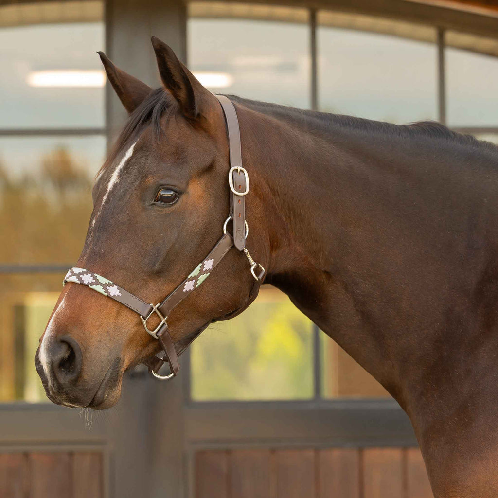 Equinavia Siri Polo Leather Halter image #1