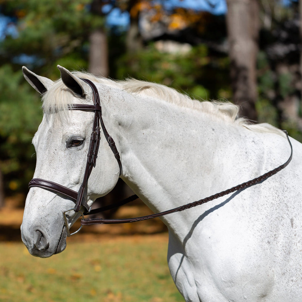 Equinavia Valkyrie Wide Noseband Hunter Bridle with Reins image #1