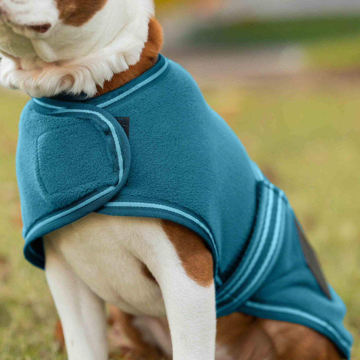 Equinavia Norse Fleece Dog Coat image #5